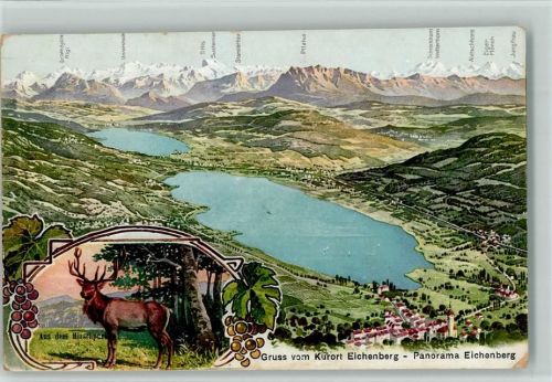 Seengen 1907 Panorama Vogelperspektive Hirsch Hirschpark