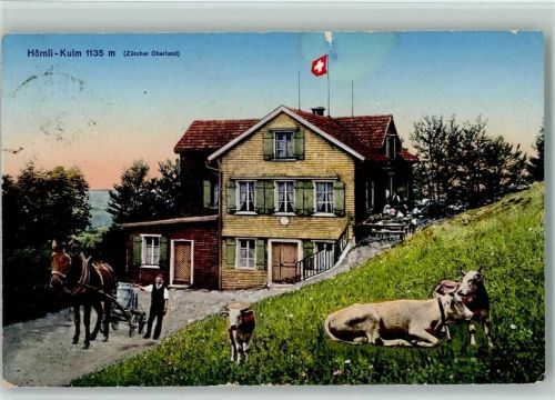 Hörnli ZH Hörnli-Kulm Kühe