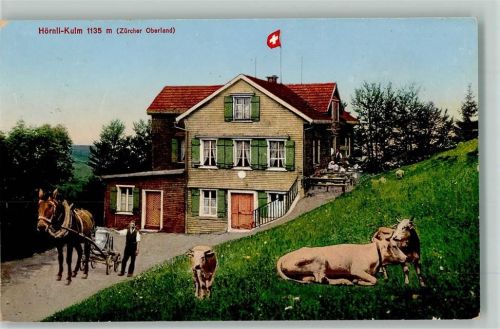 Hörnli ZH Hörnli-Kulm Kühe Hüttenstempel
