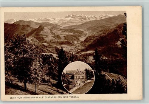 Hörnli ZH Blick vom Hörnlikulm auf Glarneralpen und Tösstal Hüttenstempel