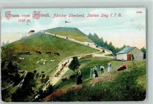 Hörnli ZH 1911 Kühe Hörnli-Kulm Hüttenstempel