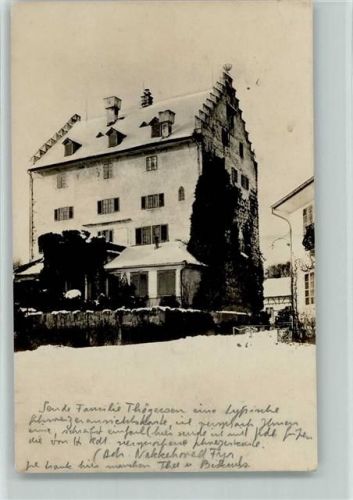 Greifensee Schloss