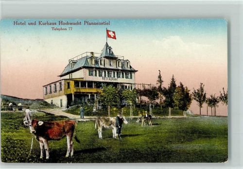 Pfannenstiel Hotel Kurhaus Hochwacht Kühe