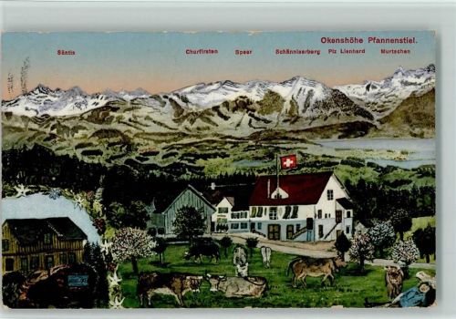 Pfannenstiel 1914 Okenshöhe Kühe