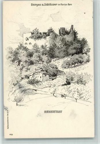 La Neuveville 1908 Burgen und Schlösser im Kanton Bern Neuenstadt