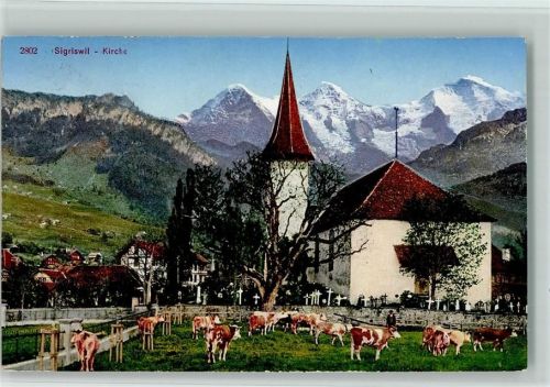 Sigriswil Kirche Friedhof Kühe
