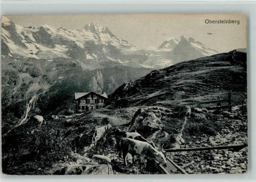 Obersteinberg