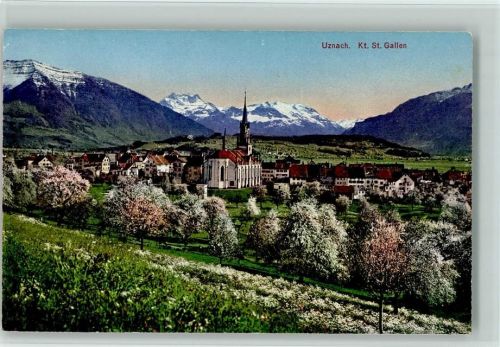 8730 Uznach - Baumblüte