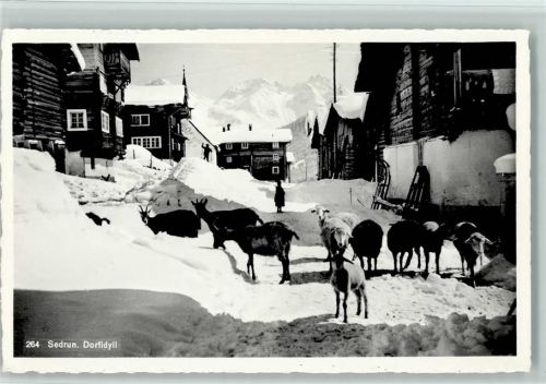 Sedrun Dorfidyll Schafe Winter