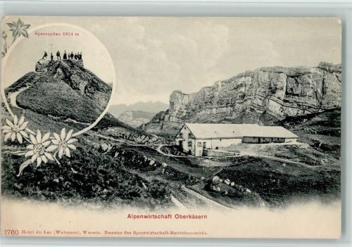 Oberchäseren Gebrauchsspuren Alpenwirtschaft Oberkäsern Speerspitze