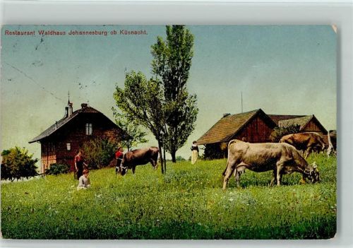 Küsnacht ZH Gasthaus Waldhaus Johannesburg Kühe