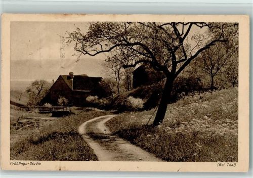 9425 Thal Gebrauchsspuren Frühlingsstudie