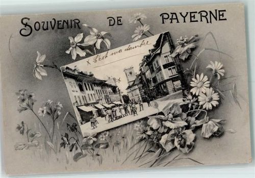 Payerne 1906 Wiesenblumen