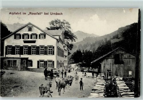 Urnäsch Alpfahrt im Rossfall Kühe