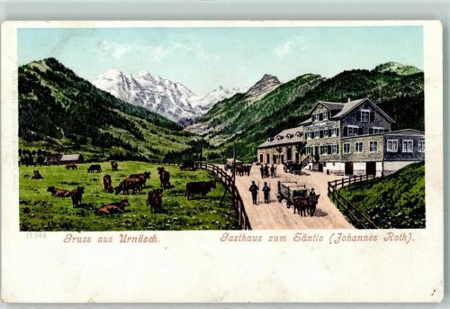 Urnäsch Gasthaus zum Säntis Kühe