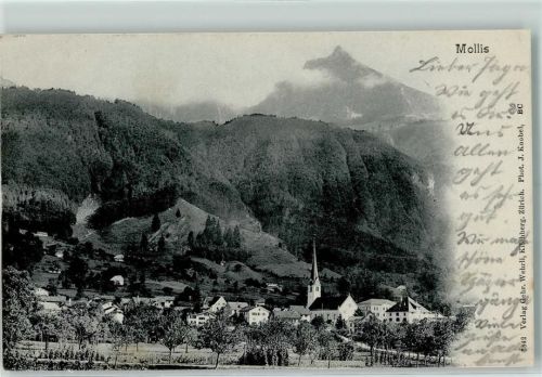 Mollis 1904