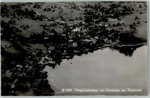Faulensee Fliegeraufnahme Thunersee