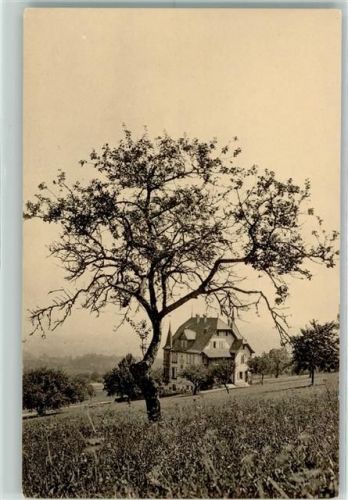 4133 Pratteln - Schönenberg