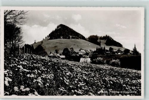 Guggisberg Frühling