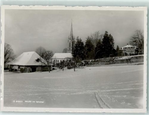 Muri b. Bern Winter
