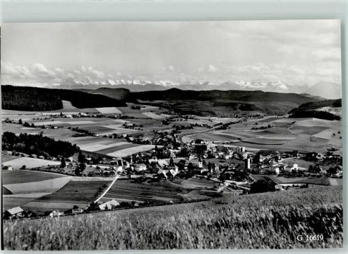 Biglen Dorf mit Blick auf die Alpen