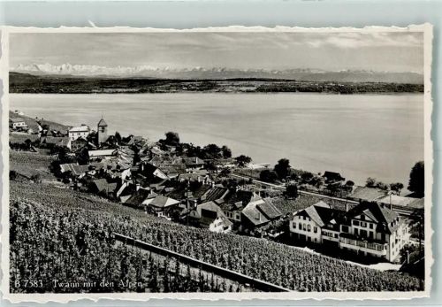 Twann Alpen Weinberge