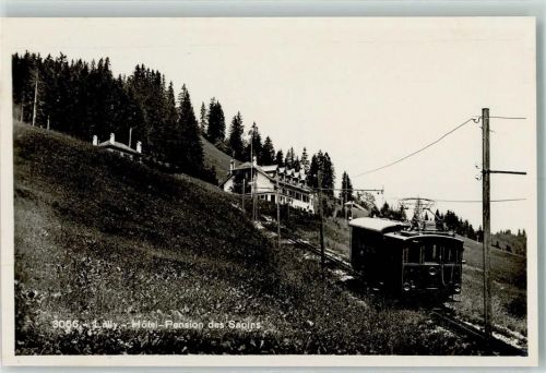 Blonay Lally Hotel Pension des Sapins Bergbahn