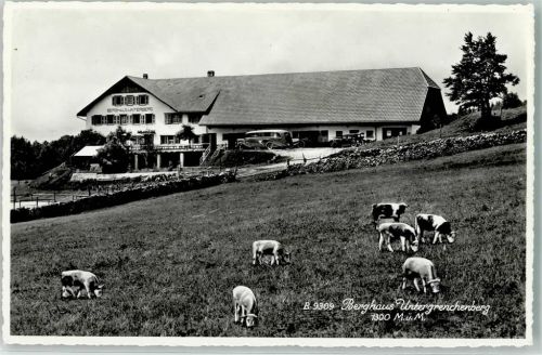 Untergrenchenberg Berghaus Untergrenchenberg Kühe