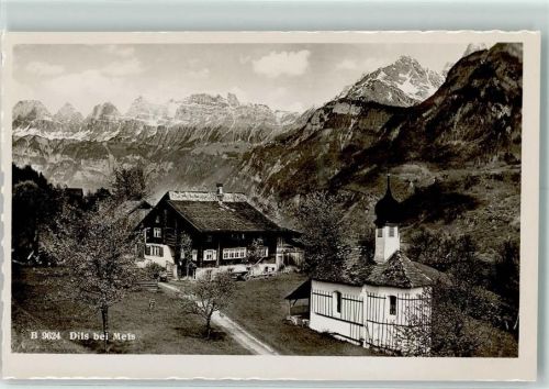 8887 Mels Gebrauchsspuren Dils