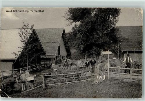 Turbenthal Waid-Schnurrberg