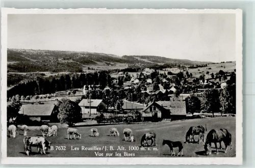 Les Reussilles Vue sur les Bises Pferde Kühe