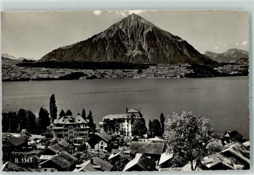Merligen Thunersee mit Niesen