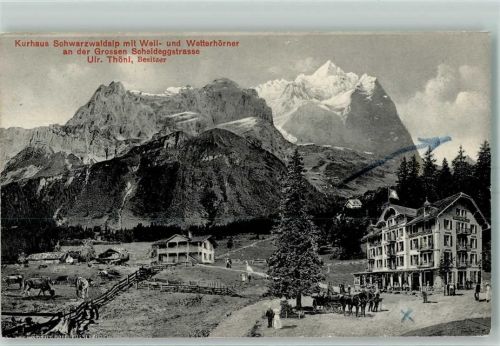 Grosse Scheidegg 1910 Kurhaus Schwarzwaldalp mit Well- und Wetterhörner an der Grossen Scheideggstrasse
