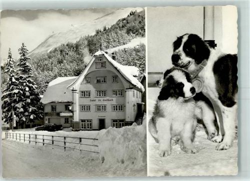 6493 Hospental - Hotel St. Gotthard Bernhardiner Winter