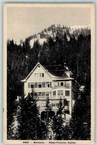 Montana Hotel Pension Alpina