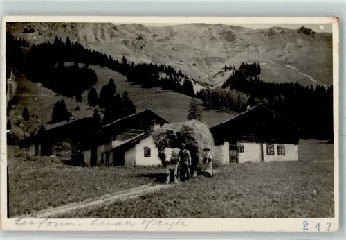 Ochsenkarre Heuernte