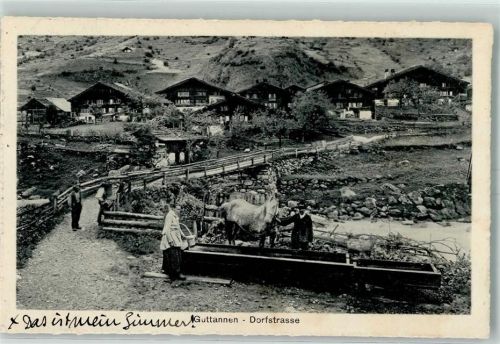 Guttannen 1913 Dorfstrasse Brunnen Pferd