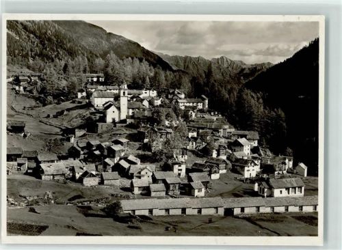 Bosco/Gurin