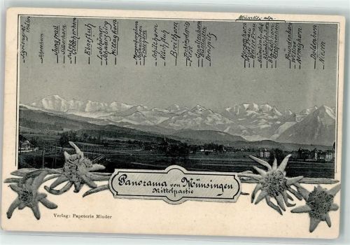 Münsingen Panorama Alpenkette Edelweisse