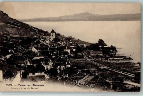 Twann 1917 Phototypie 2724 - Teilansicht AK