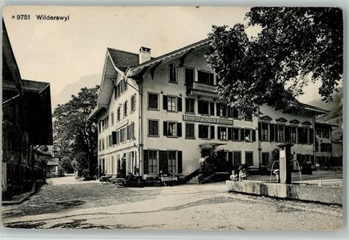 Wilderswil Quellbrunnen , Hotel Bären , gute Erhaltung AK
