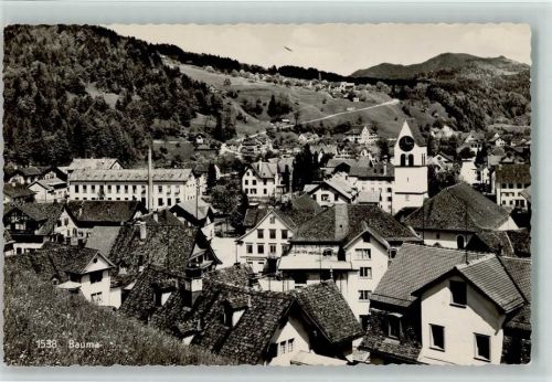 Bauma