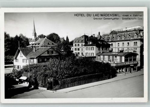 Wädenswil Hotel du Lac Bahnpoststempel Hüttenstempel