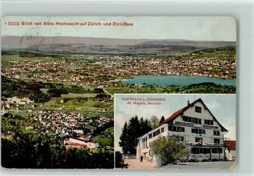 Zürich 1910 Blick von Albis-Hochwacht auf Zürich und Zürichsee Gasthaus Zum Hirschen