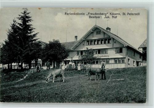 9127 St. Peterzell - Ferienkolonie Freudenberg auf Käsern Kühe