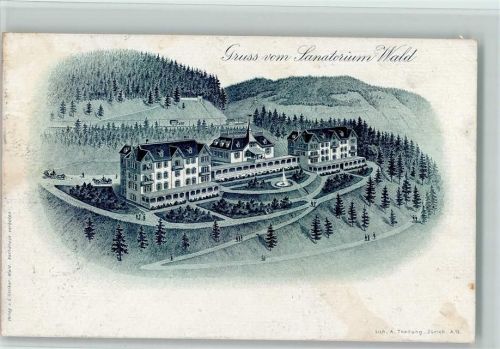 Wald ZH 1899 Sanatorium