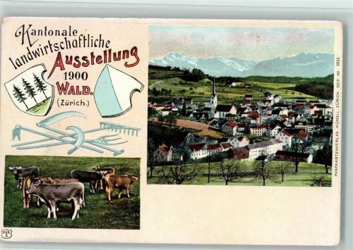 Wald ZH 1900 Kantonale landwirtschaftliche Ausstellung Kühe