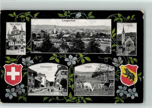 Langenthal 1913 Hotel Bären Kirche Amtshausgasse Wildpark Wappen Veilchen
