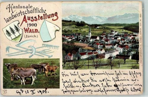 Wald ZH 1900 Kantonale landwirtschaftliche Ausstellung Kühe