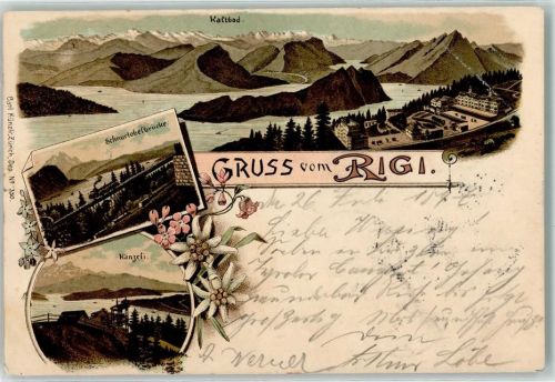 Rigi Kaltbad 1897 Schnurtobelbrücke Känzeli Blumen